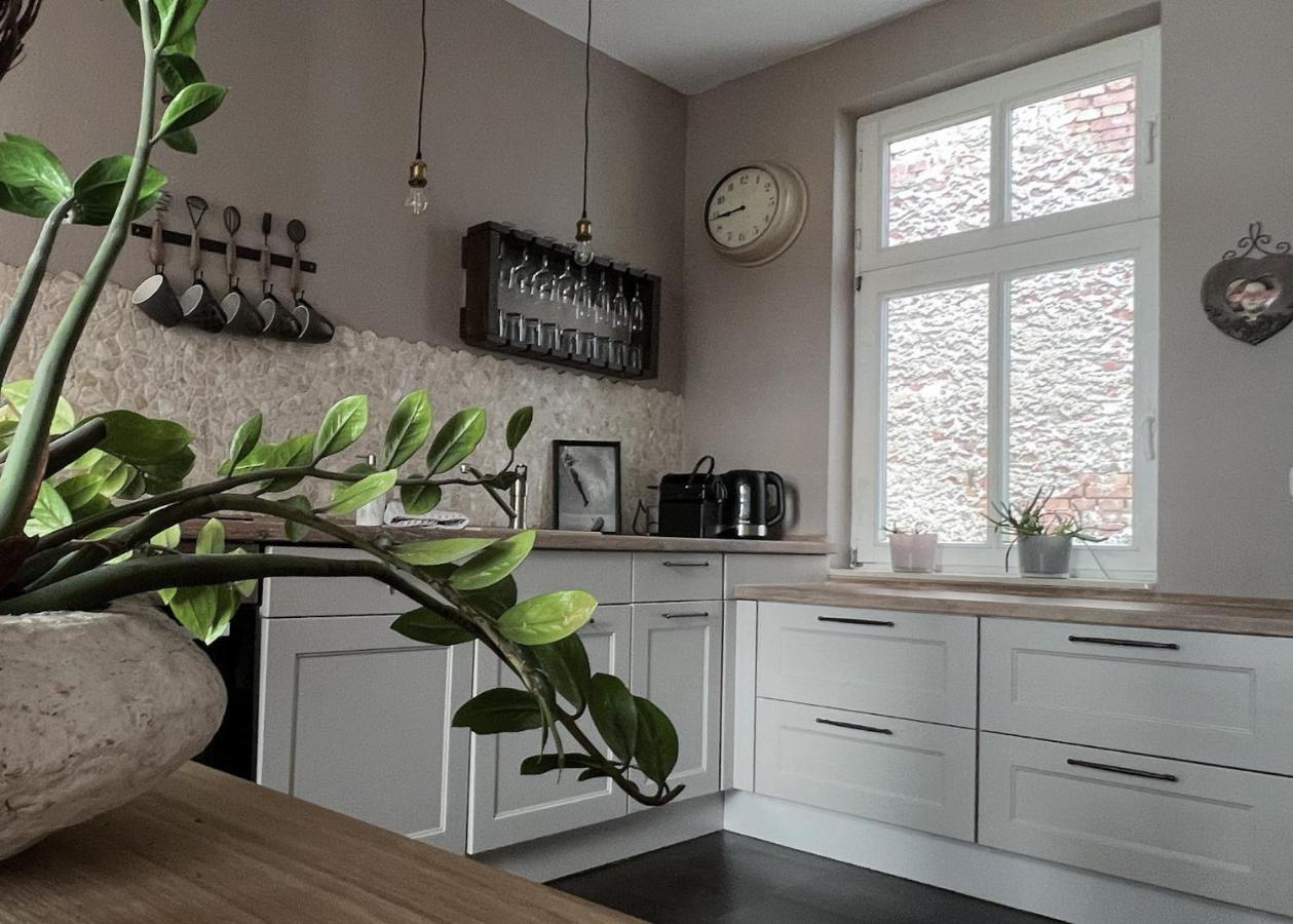 Neuwerk Apartamento Erfurt Exterior foto